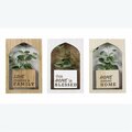 Youngs Wood Wall Shadow Box with Artificial Greenery, Assorted Color - 3 Piece 21112